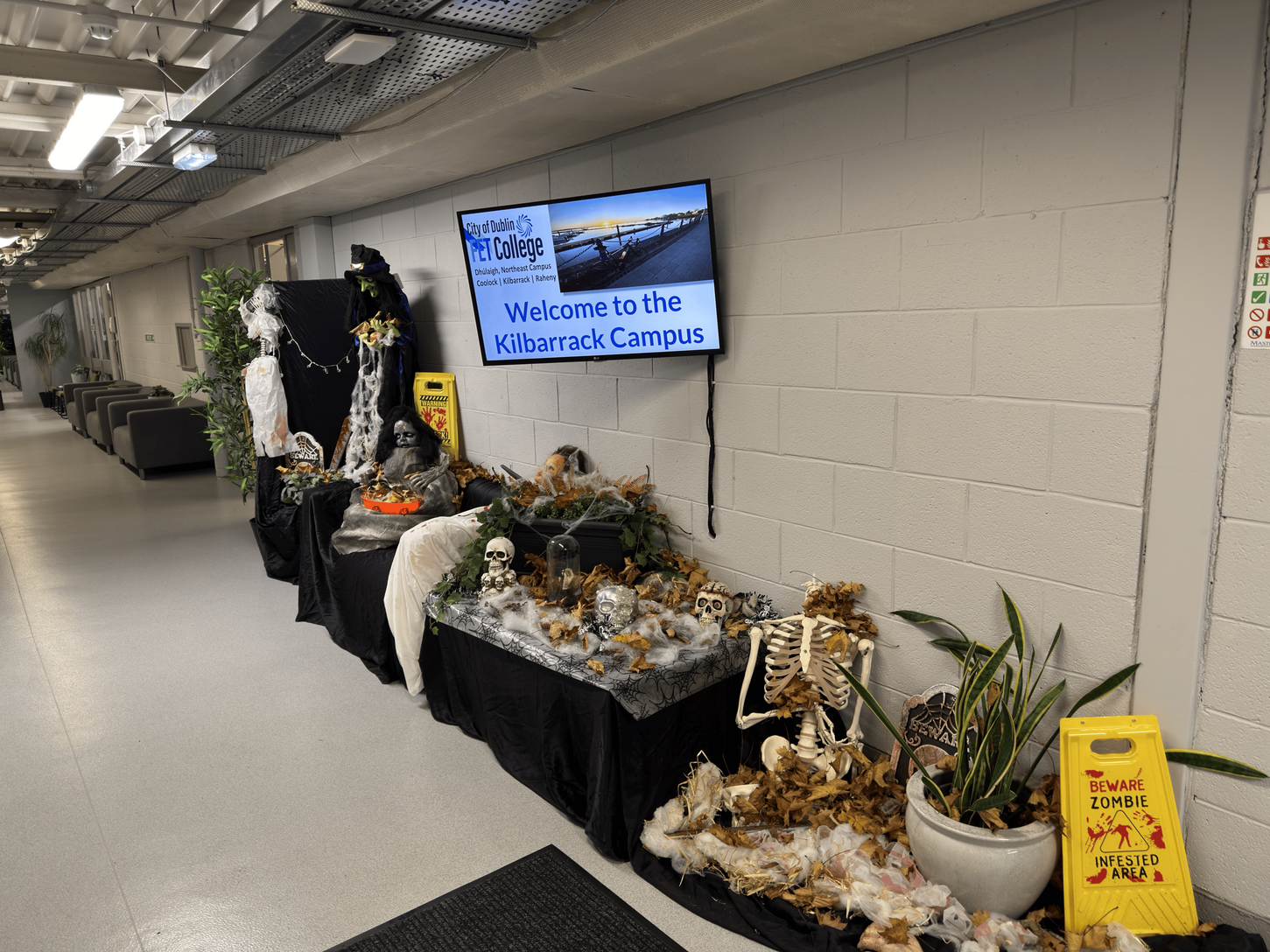 Miña experiencia de prácticas en Dublín